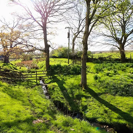 Mill Dam Farm