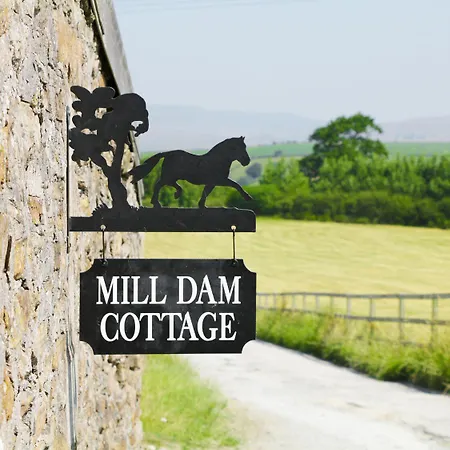 Mill Dam Farm *